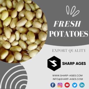 Brown French Fries Promo Instagram Post