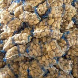 WhatsApp Image 2022-12-22 at 1.54.10 AM (1)