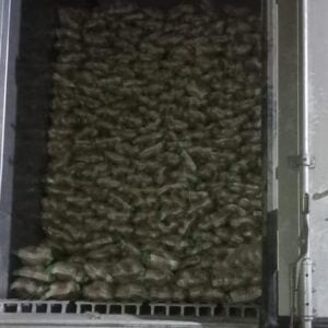 WhatsApp Image 2022-12-26 at 10.28.58 AM (1)