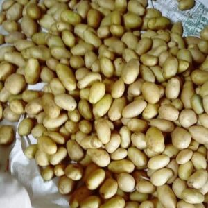 WhatsApp Image 2022-12-26 at 10.28.59 AM (3)