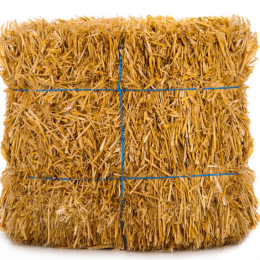 Sharp Ages | Wheat Straw Exporter in Pakistan