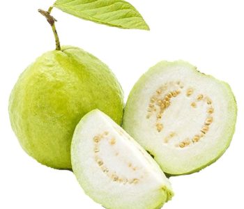 guava-11