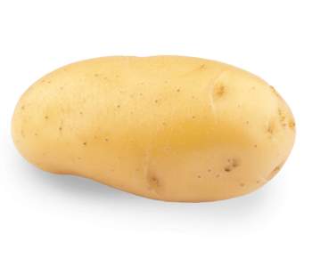 Sharp Ages | Potato Exporter in Pakistan