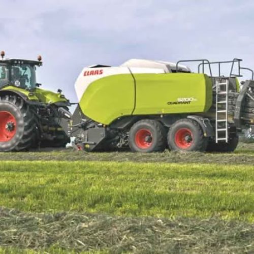 Sharp Ages | Rhodes Grass Exporter in Pakistan