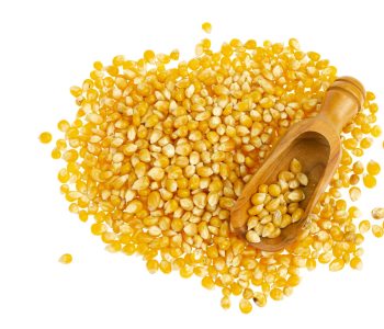 Sharp Ages | yellow corn Exporter in Pakistan